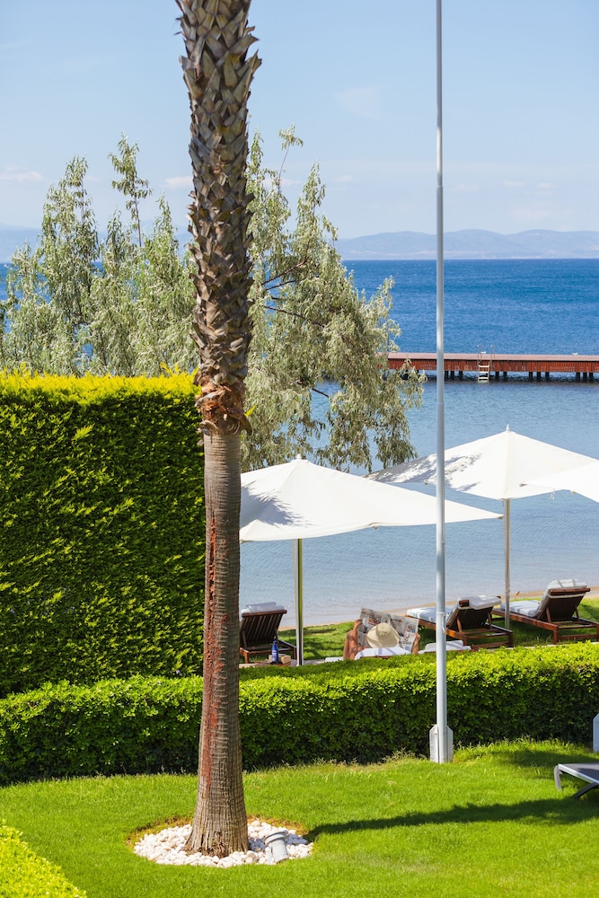 Ortunc Hotel Boutique Class 38/50