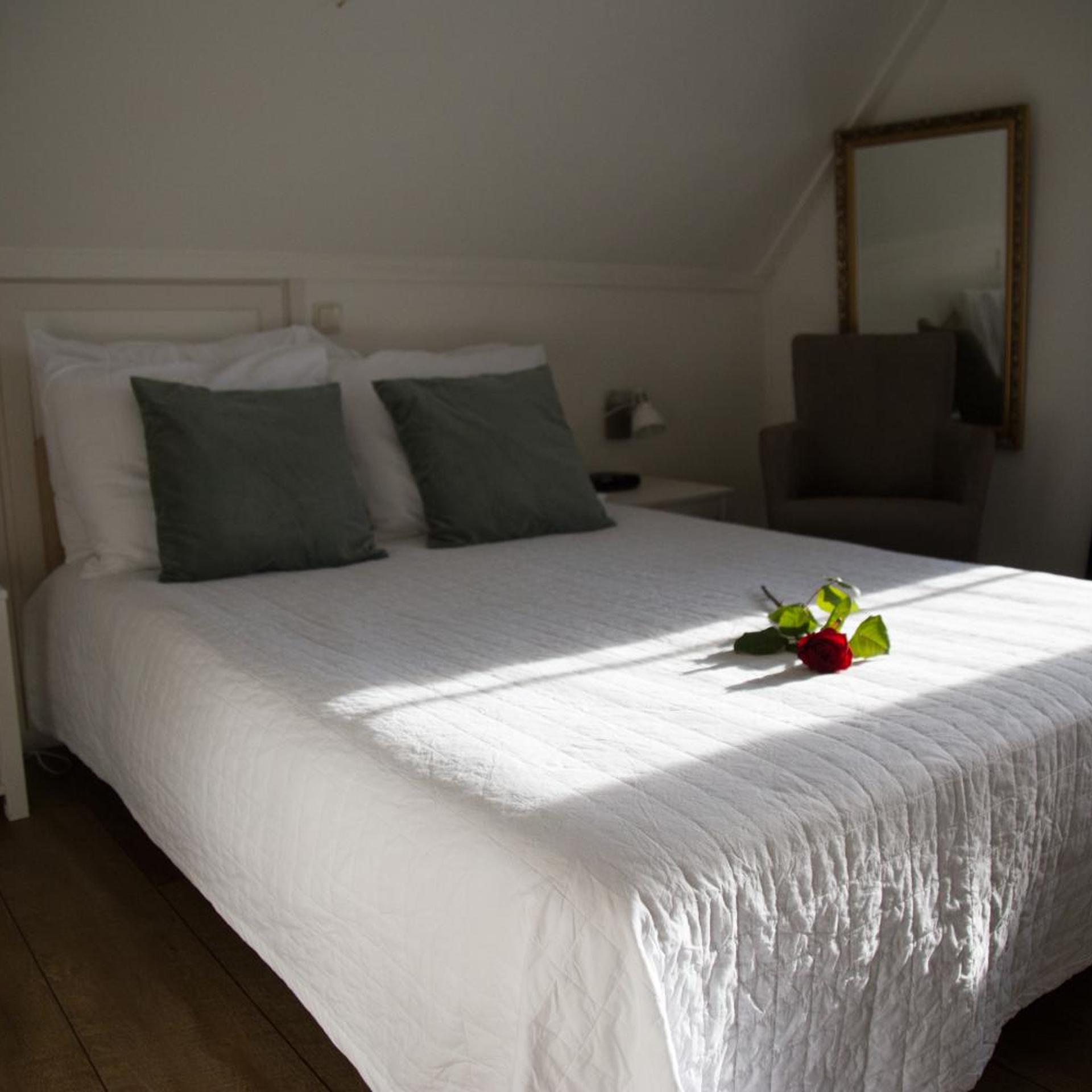 De Dames Van De Jonge Hotel 14/40