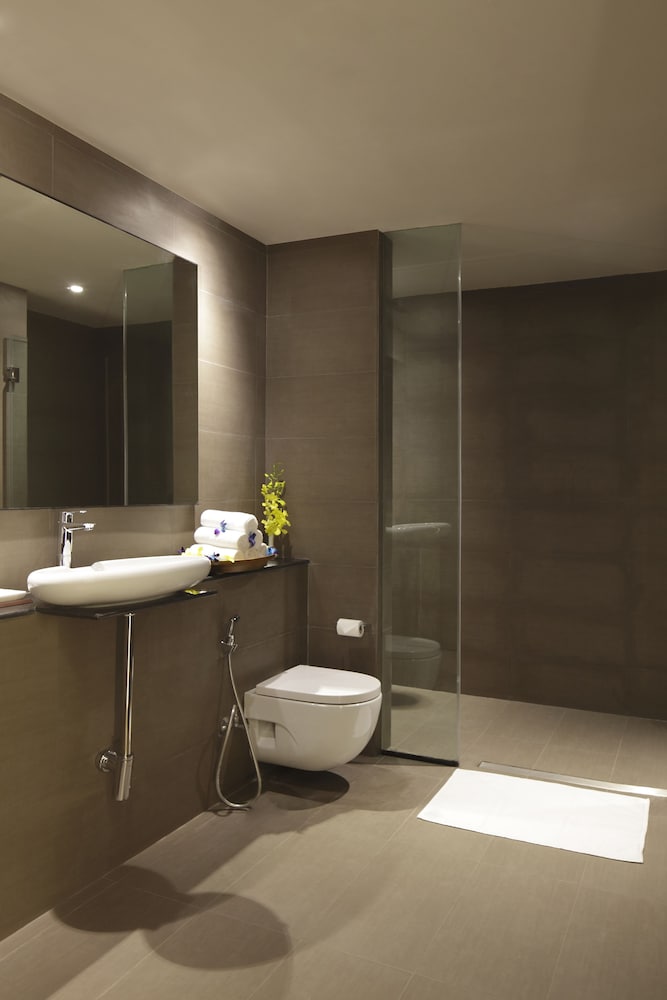 Holiday Inn Express New Delhi International Airport Terminal 3 Terminal Hotel 13/44