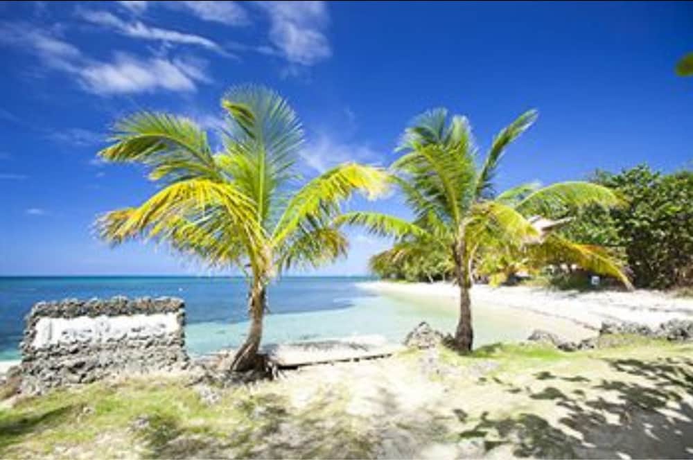 Las Rocas Resort And Dive Center 51/63