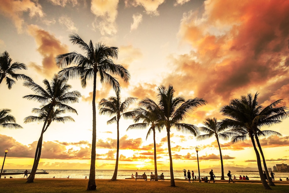 Waikiki Monarch Hotel 42/50