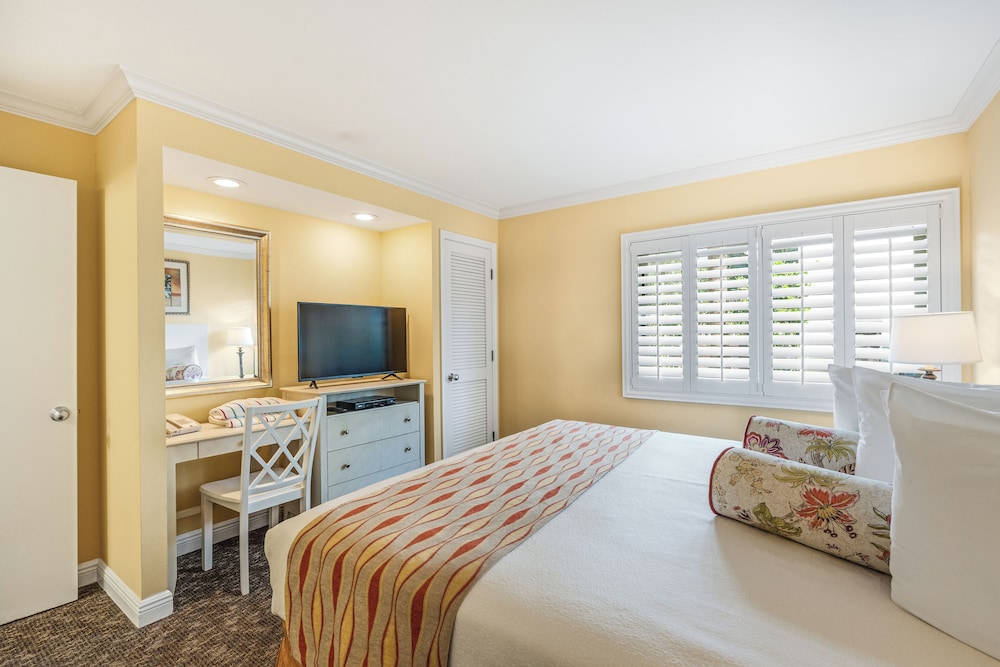 Suite, King Bed