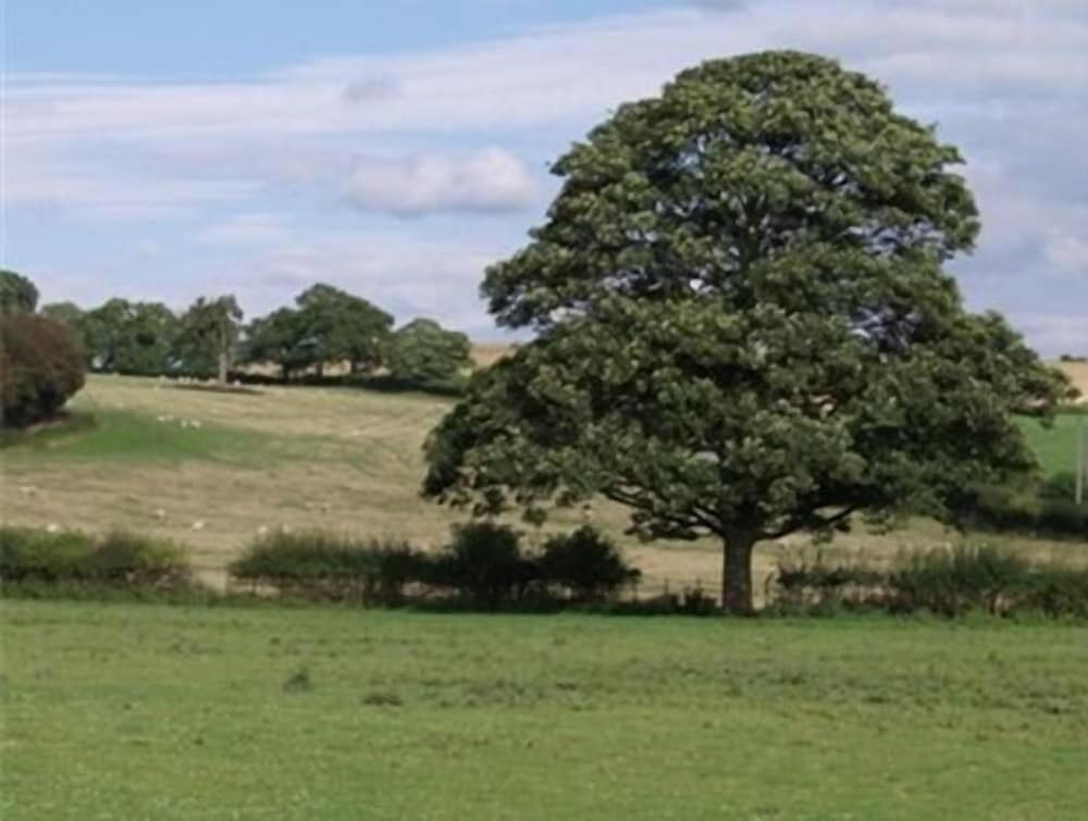 Quixhill Denstone - Exmoor B&amp;B 12/17
