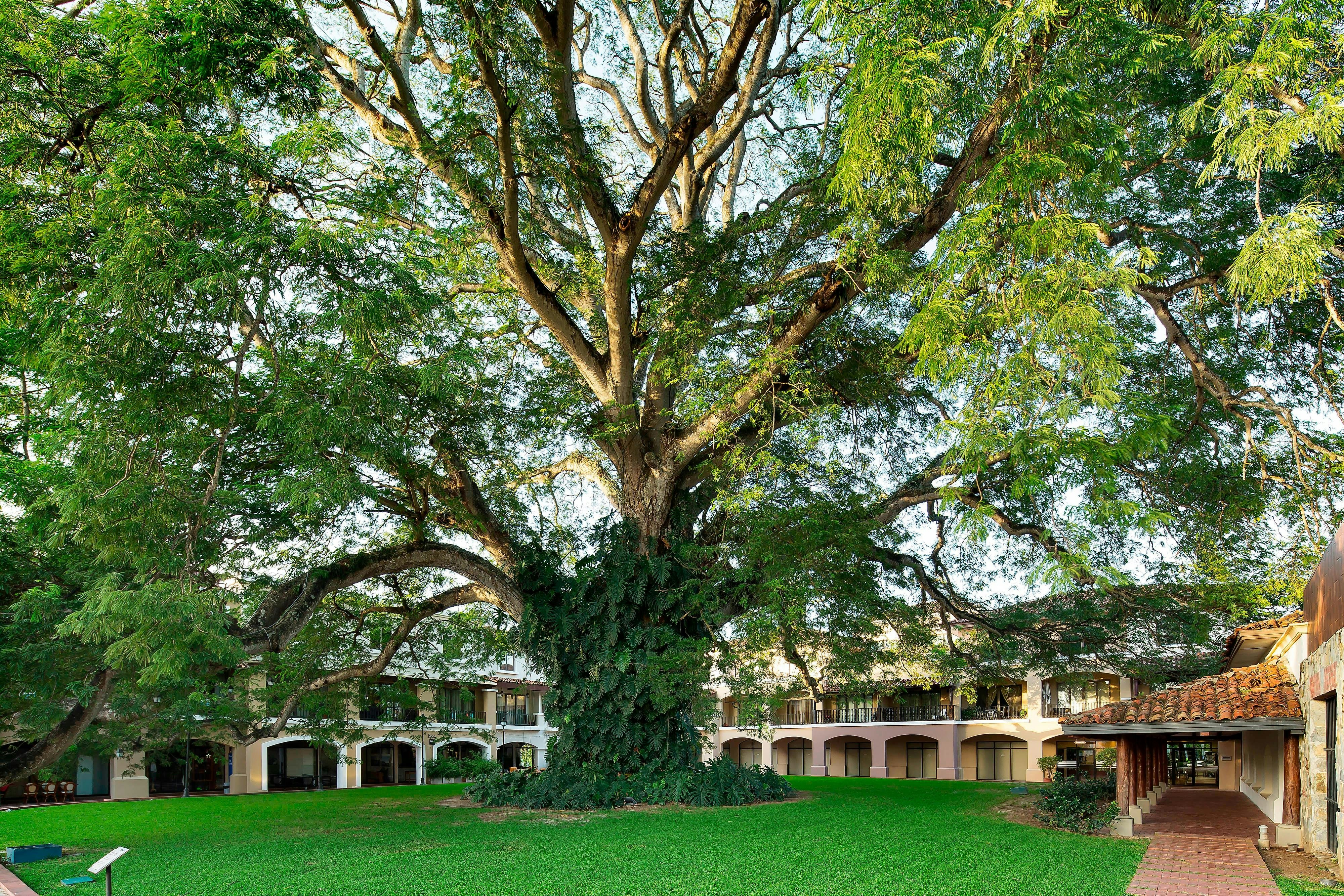 The Buenaventura Golf & Beach Resort Panama, Autograph Collection 75/79