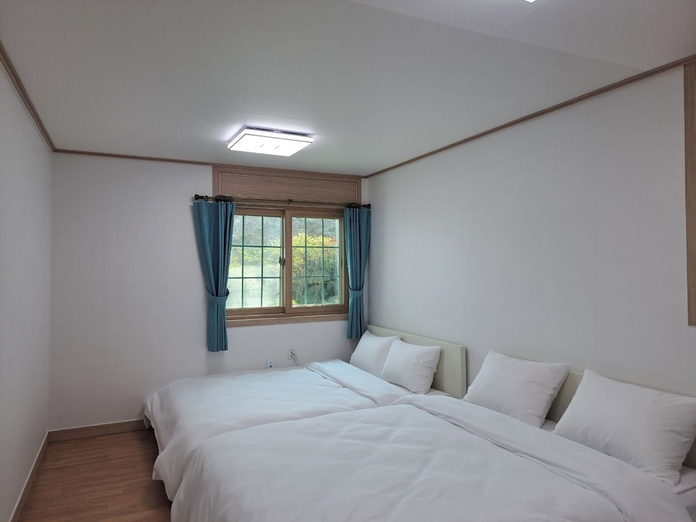 Hanulbora Pension 6/50