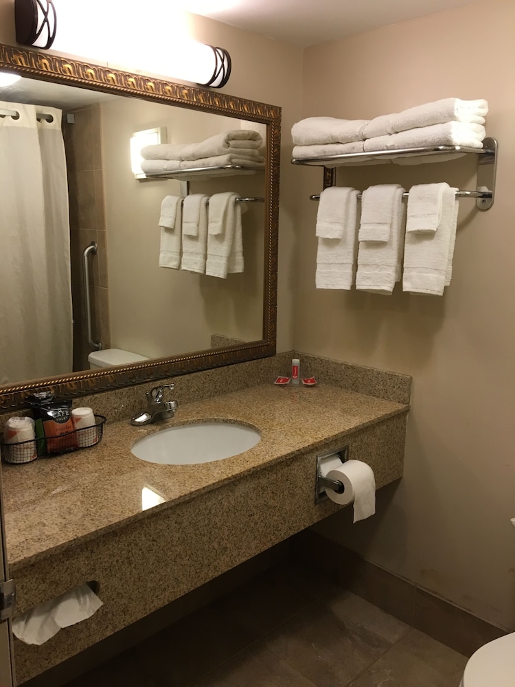 Econo Lodge Darien Lakes 37/46