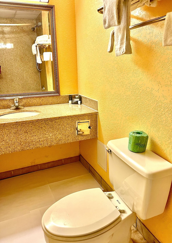 Hotel M Morgantown Wvu Area 36/37