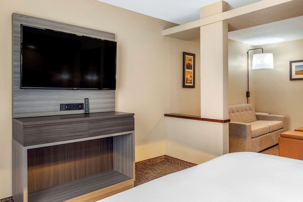 Comfort Inn and Suites North Dallas-Addison 7/33