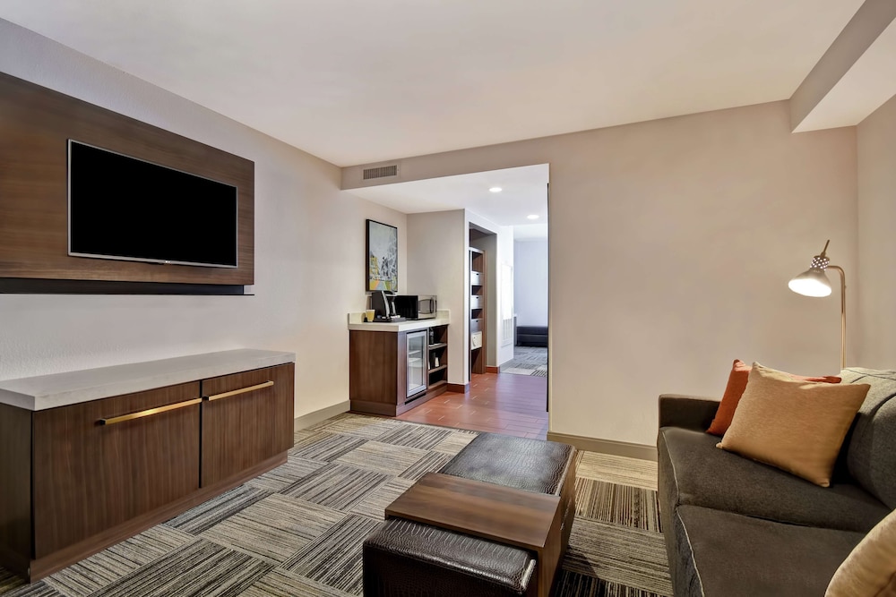 Hilton Garden Inn Houston/Galleria Area 32/58