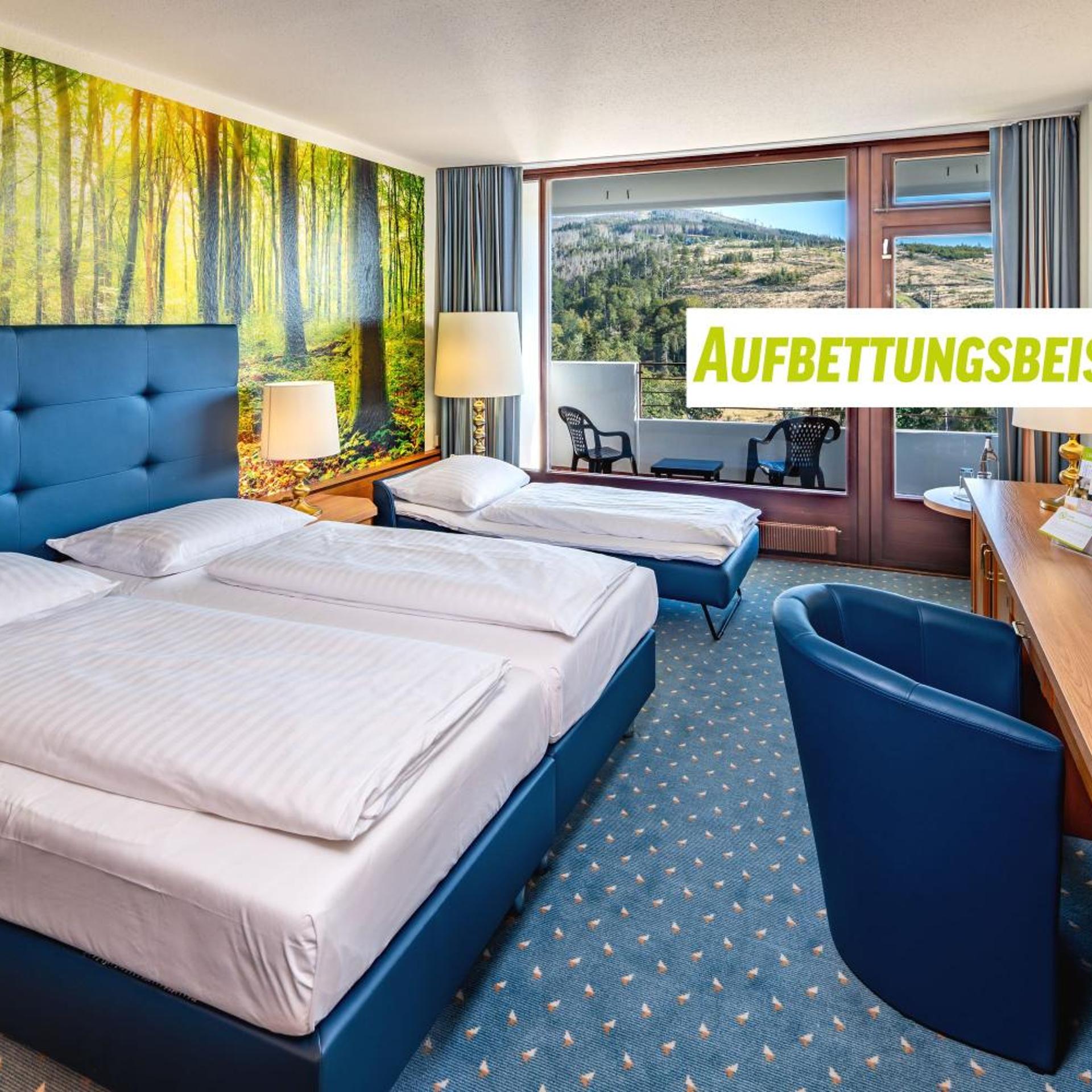 Panorama, Double Bed، AHORN Harz Hotel Braunlage 4/7