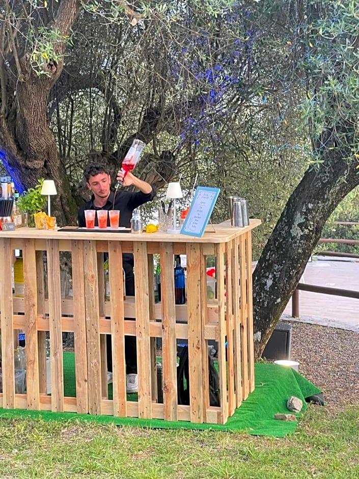 Tenuta Terre Di Bosco 47/49