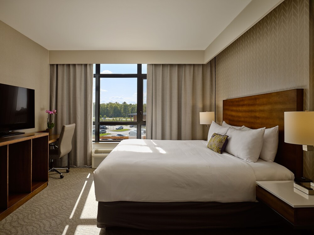 Room, King Bed, Casino View, Accessible