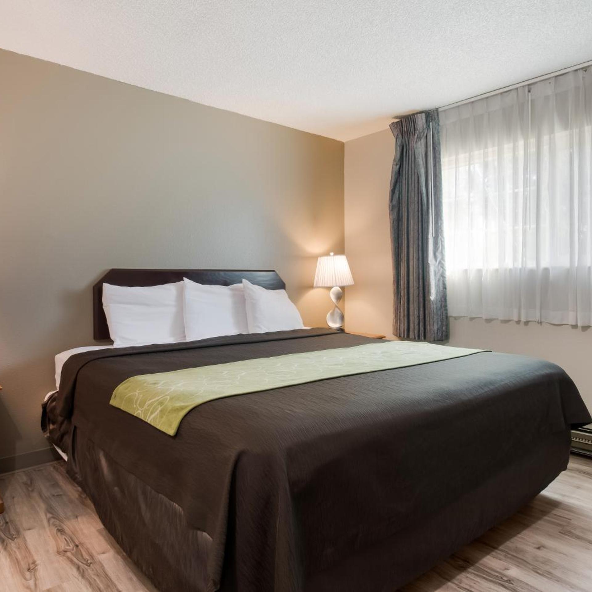Efficiency, Family Suite, King Bed