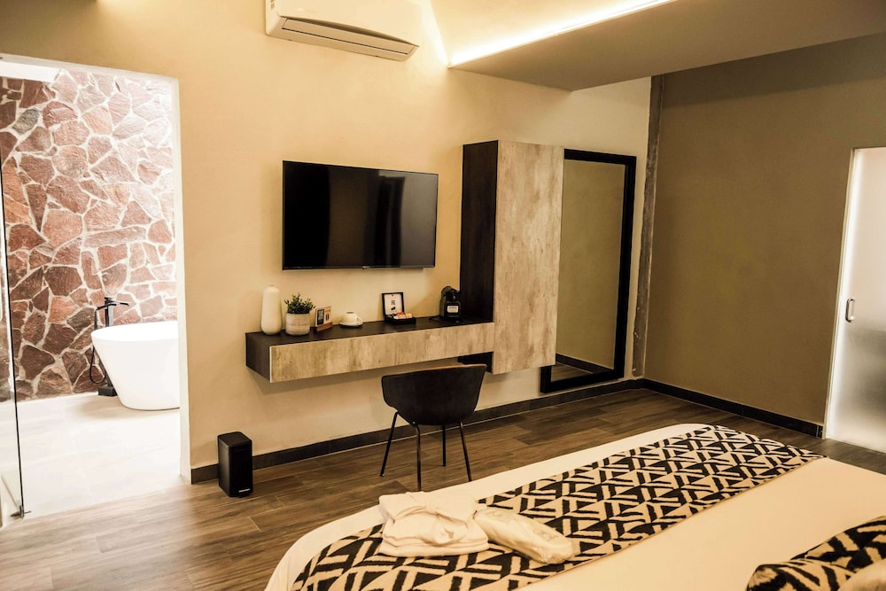 Esplendor by Wyndham San Luis Potosi Monarca 30/54