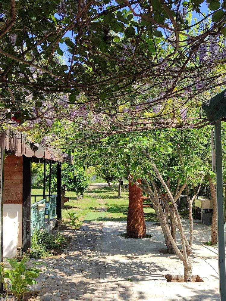 Cirali Flora Pension 30/50