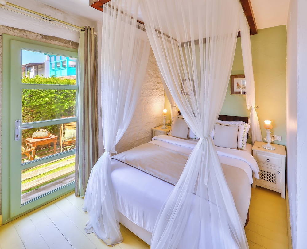 パラス アラチャトゥ(大人専用) 写真4