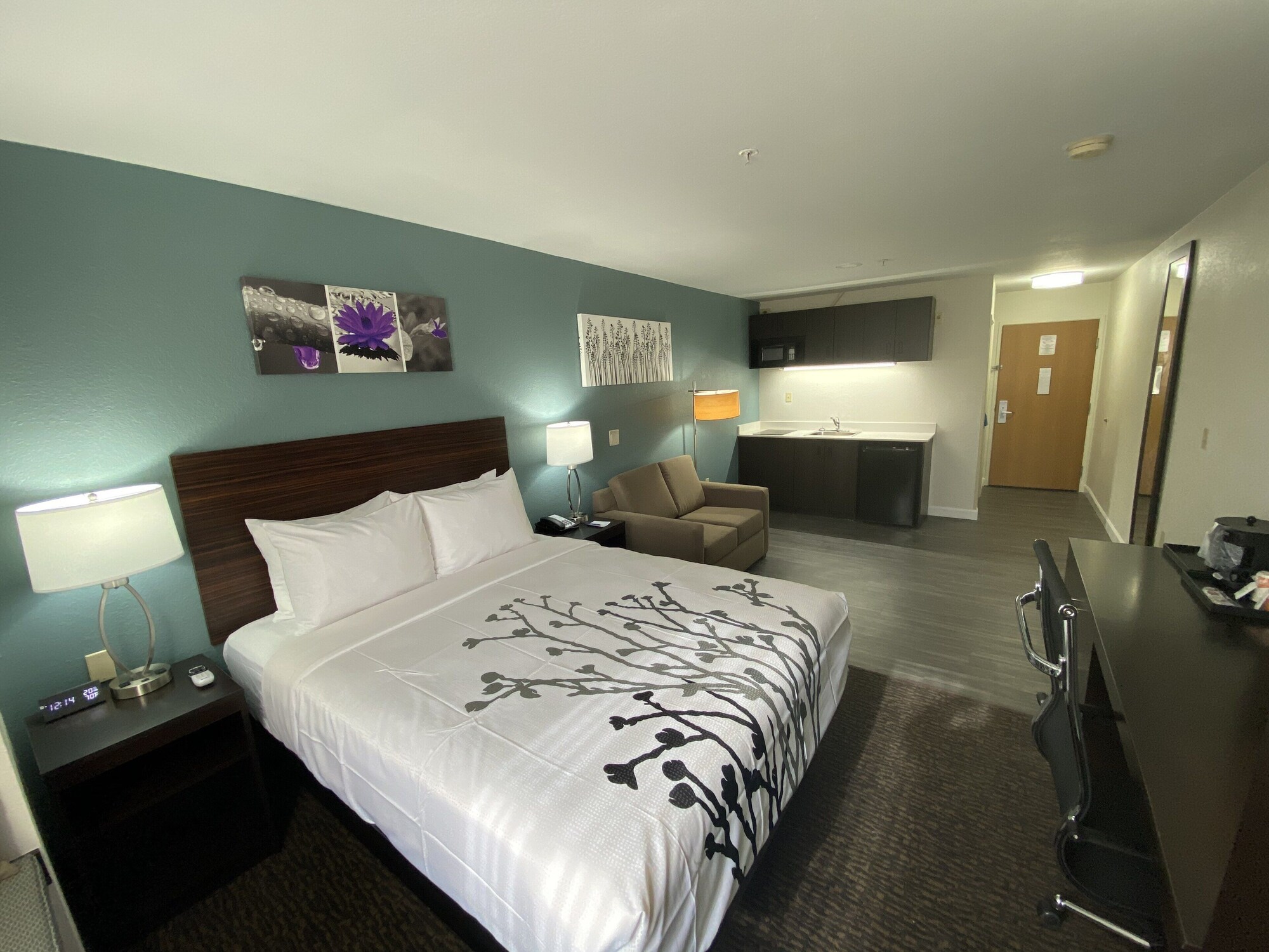 Efficiency, Suite, Queen Bed, Sofa