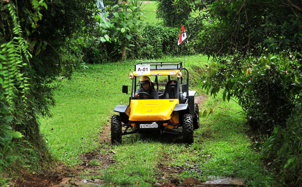 Sari Ater 38/43