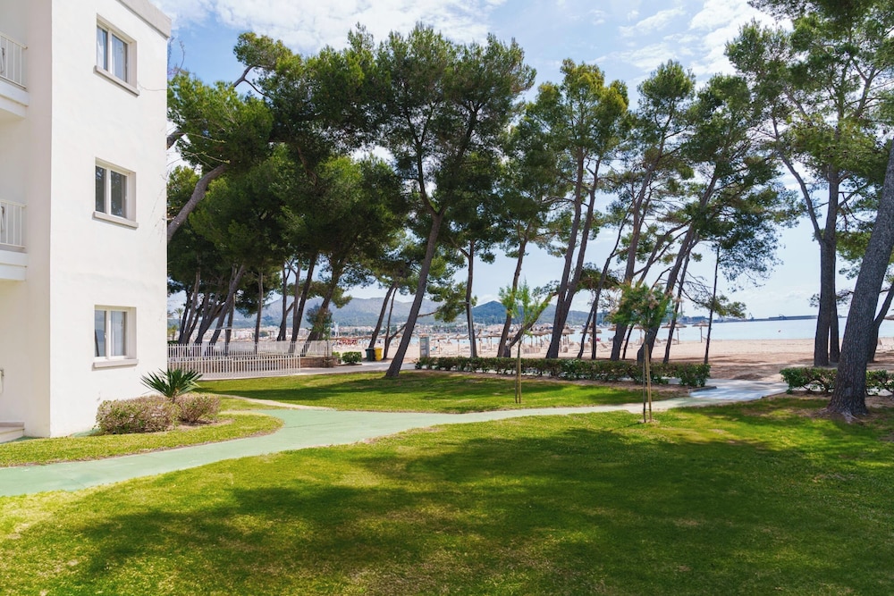 Ferrer Lime Playa de Alcudia 34/47