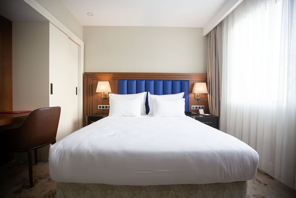 Ramada Plaza by Wyndham Istanbul Sultanahmet 18/50