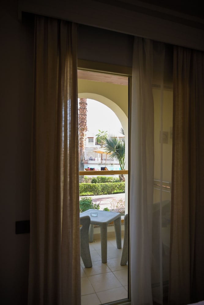 Amphoras Aqua - Adults Friendly 19/47