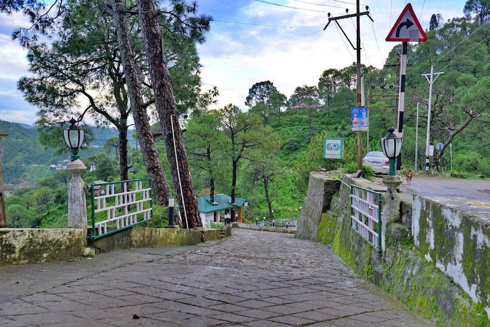 UNA COMFORT KASAULI EXOTICA 39/50