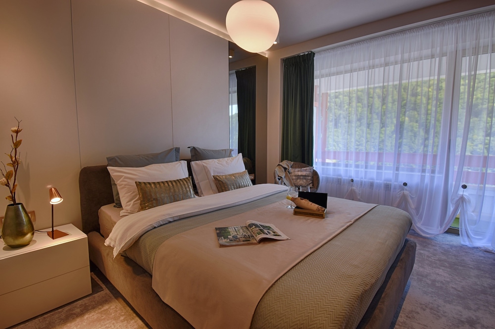 Hotel Rina Sinaia 14/50