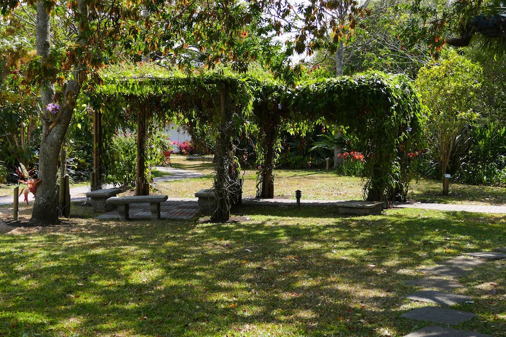 Hotel Bougainvillea San Jose 52/66