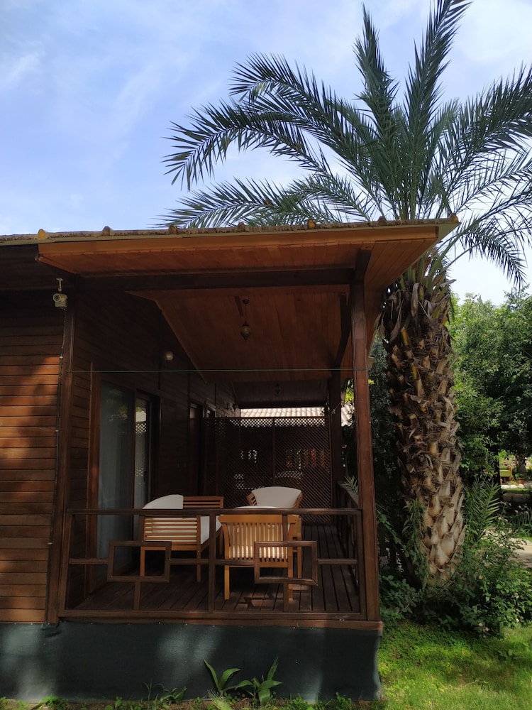 Olympos Yavuz Hotel photo4