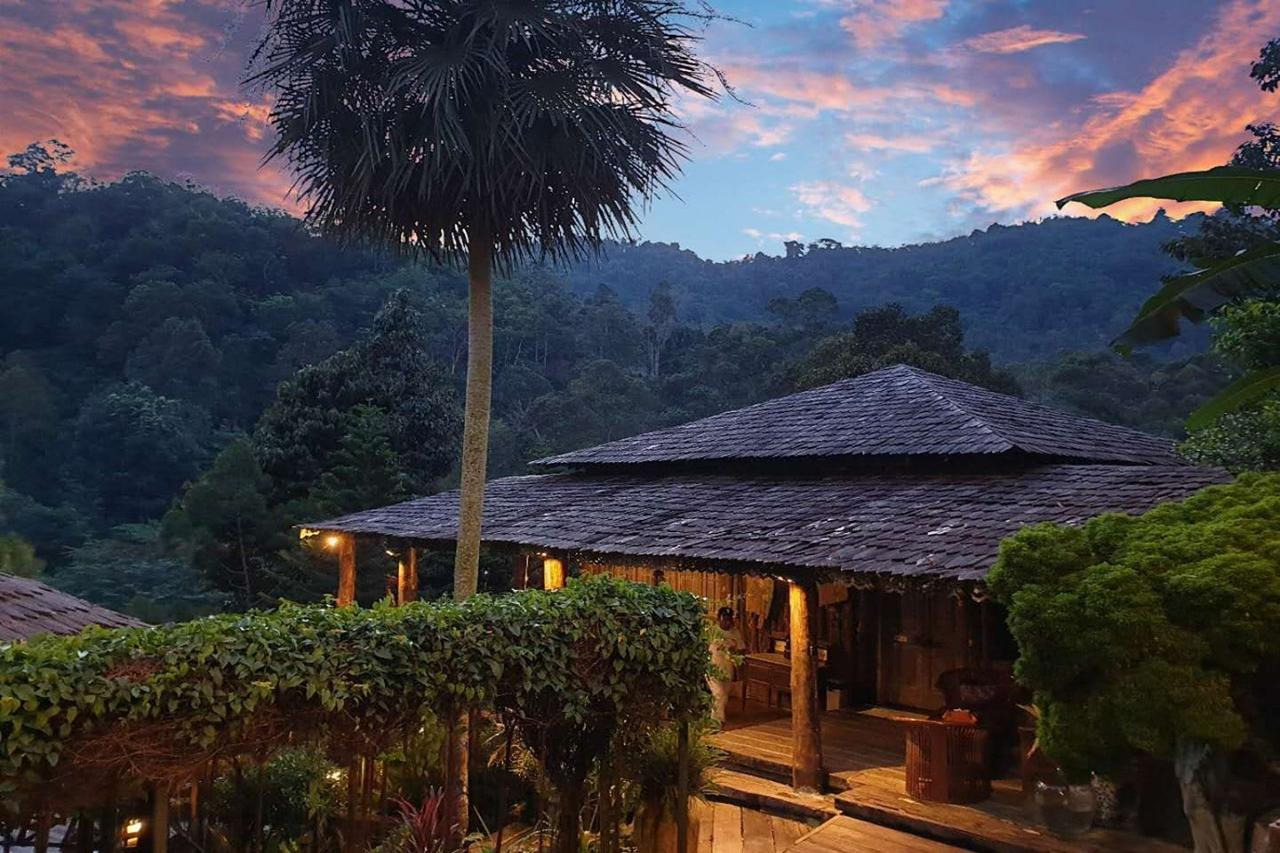 Fig Tree Hill Resort 36/38