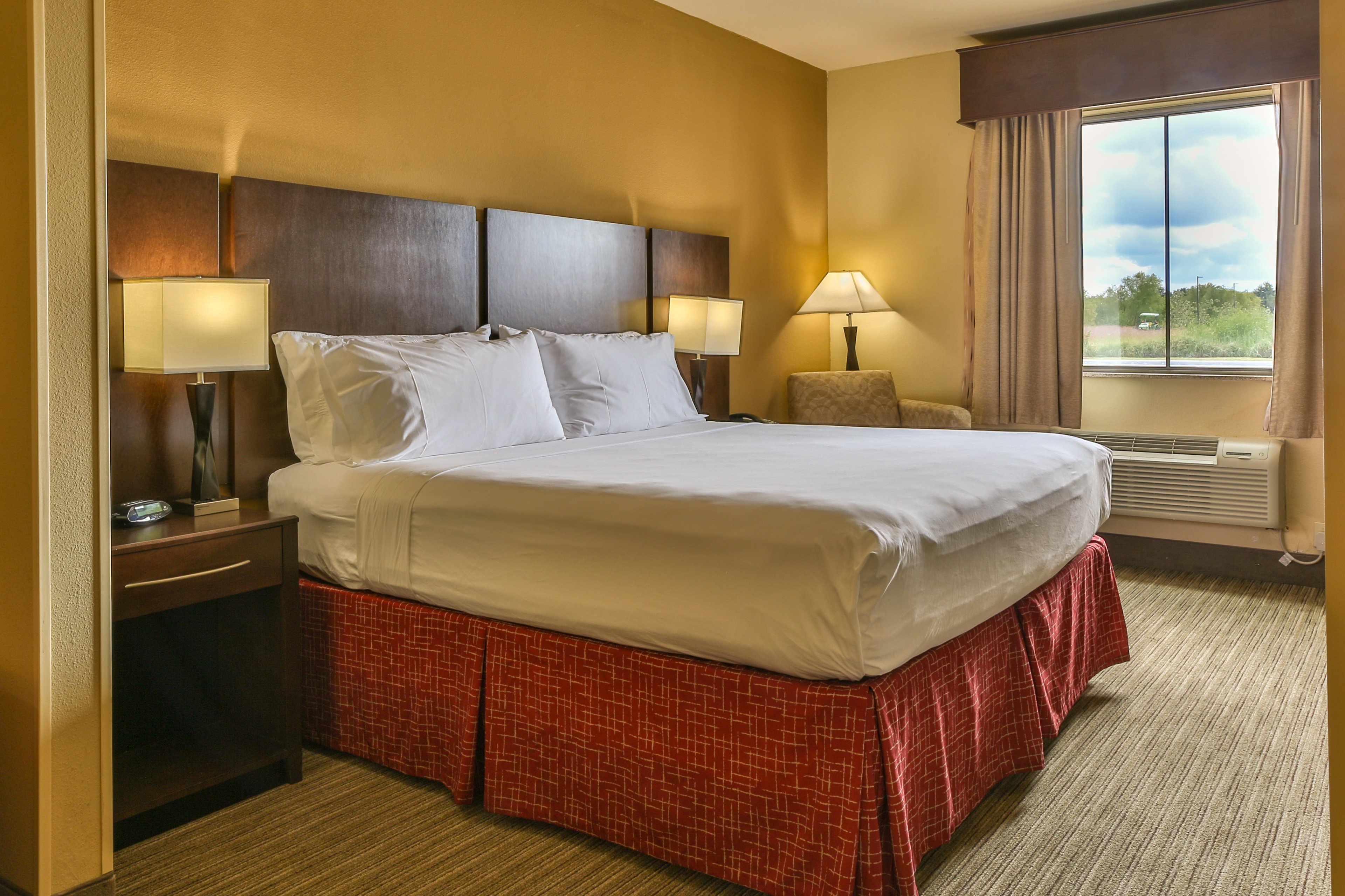 Holiday Inn Express Hotel & Suites Houston South - Pearland 14/61