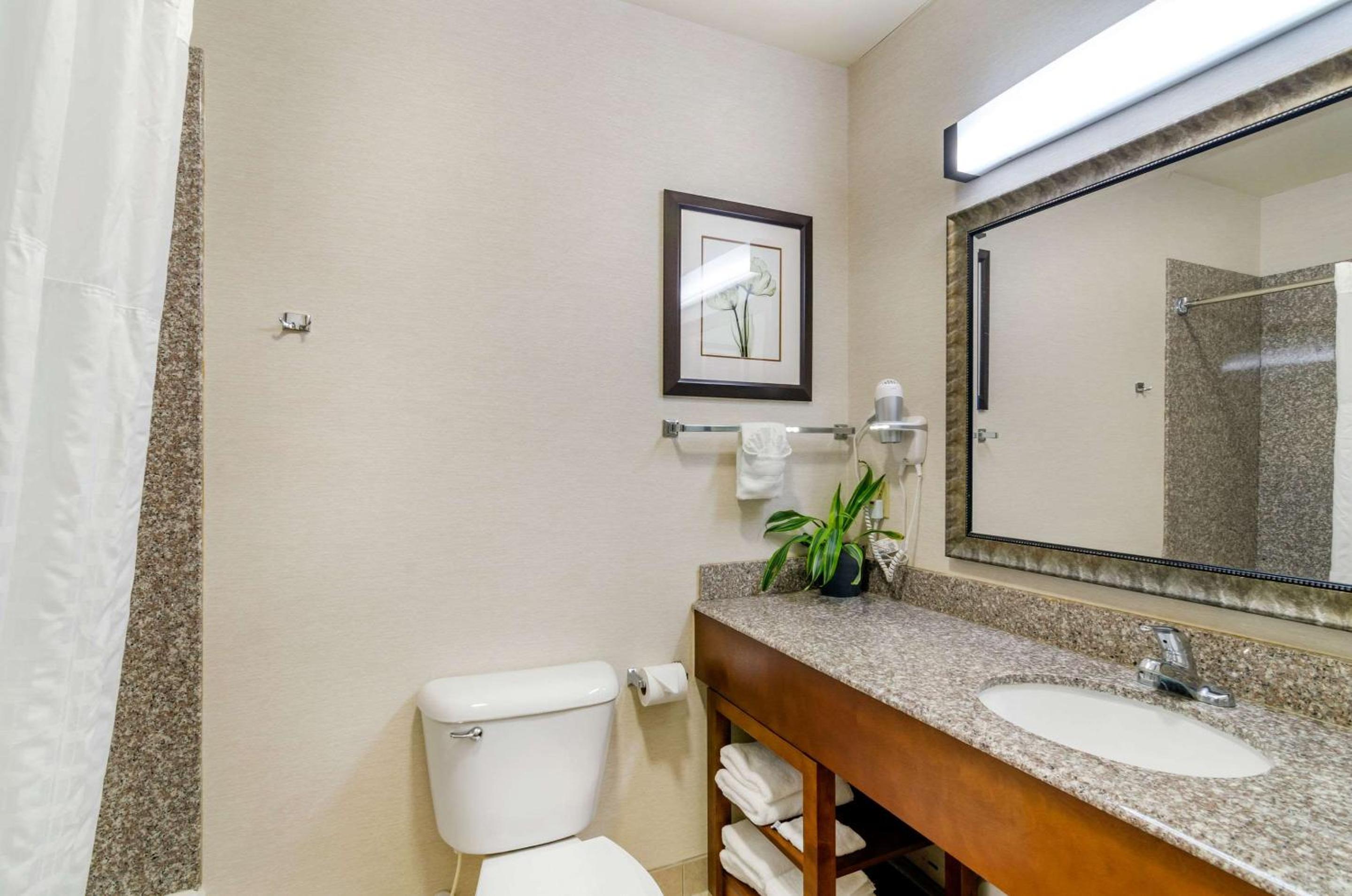 جناح بسرير كوين، Comfort Inn And Suites 9/10