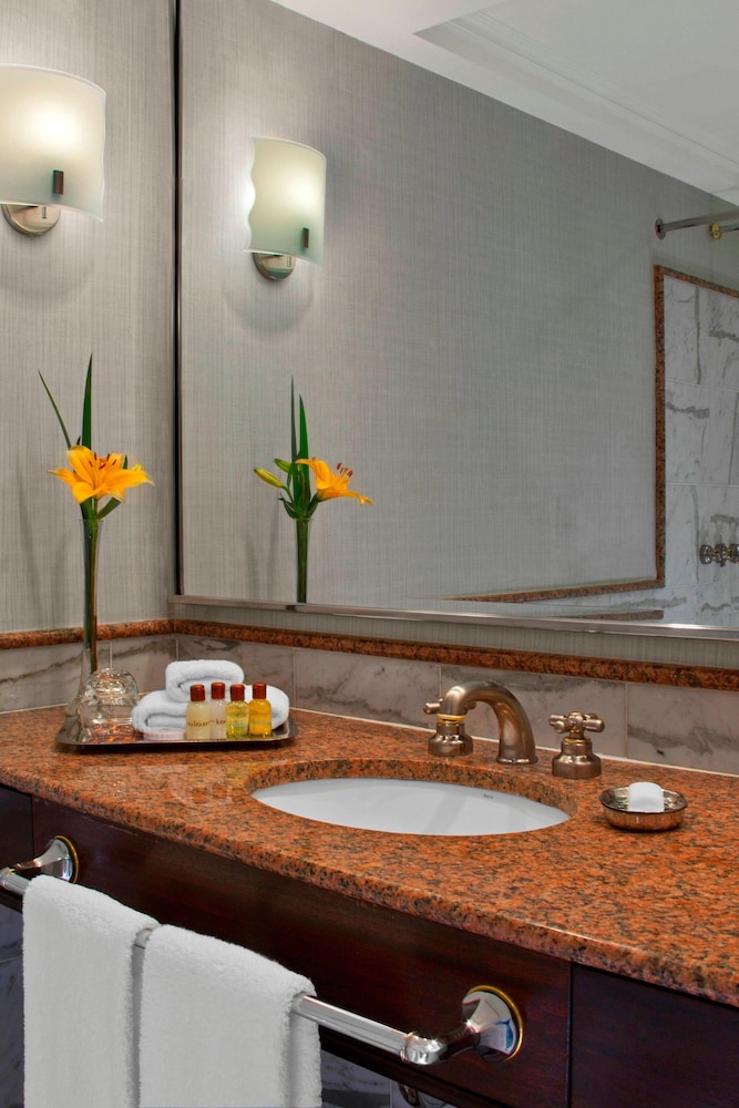 Sheraton Buenos Aires Hotel And Convention Center 57/65