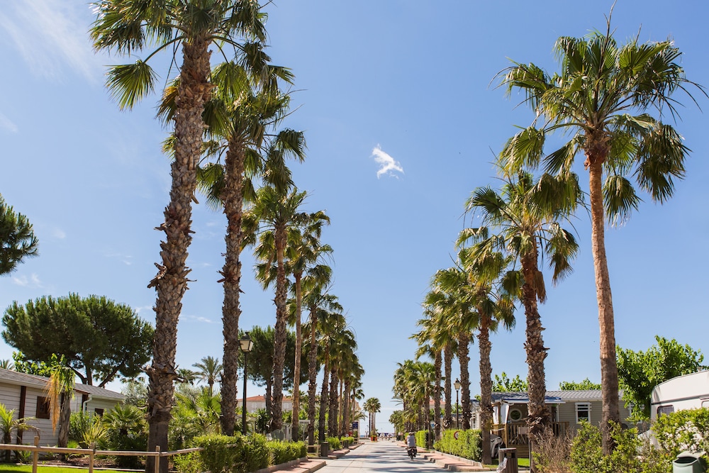 Camping Vendrell Platja 24/31