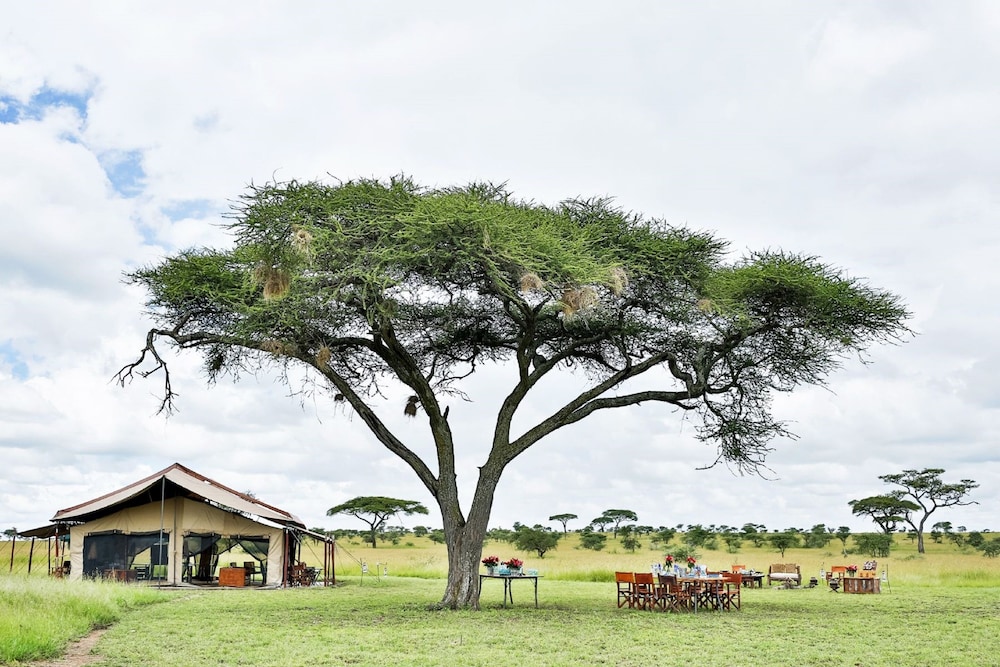 Pumzika Classic Safari Camp 1/54