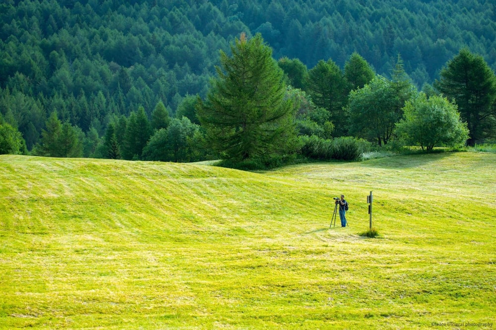Dolomiti Chalet Family Hotel 43/49