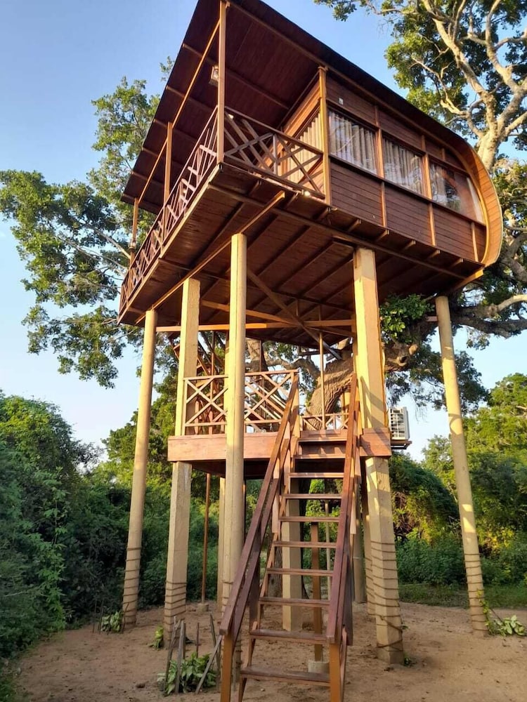 Leopard Nest Luxury Campsite 5/50