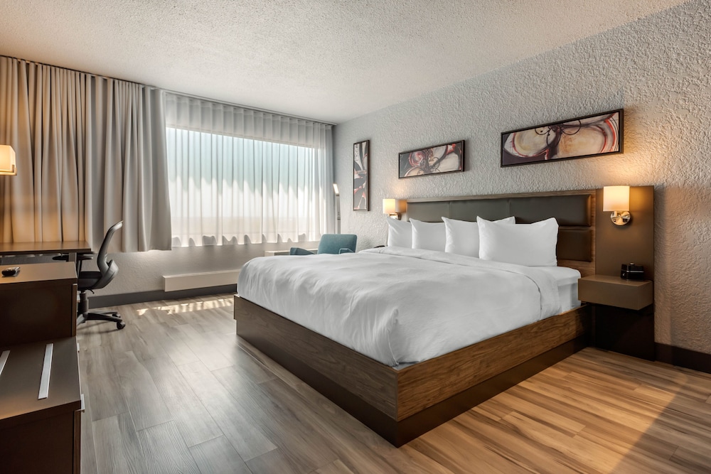 Hotel Quartier An Ascend Hotel Collection 16/64