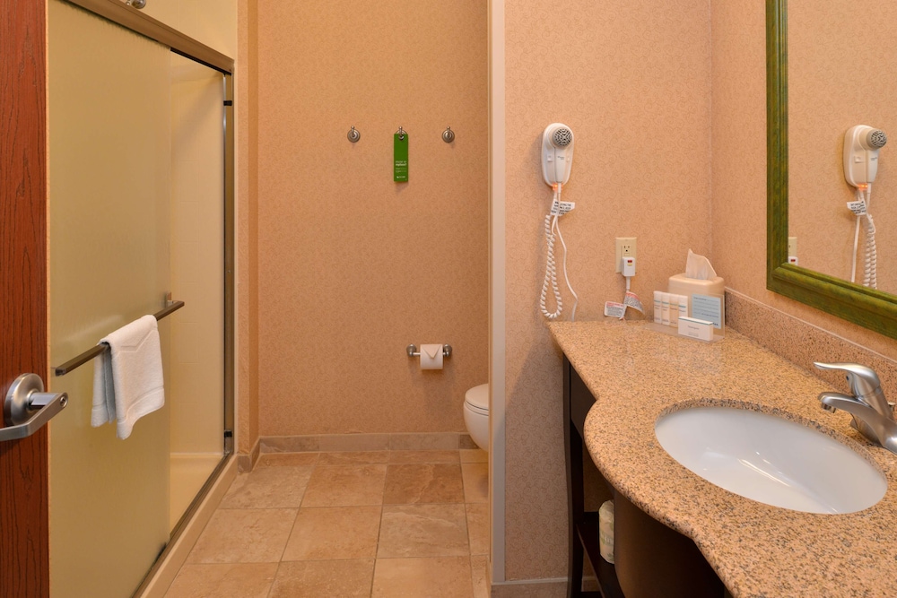 Hampton Inn & Suites St. Louis-Edwardsville 19/69