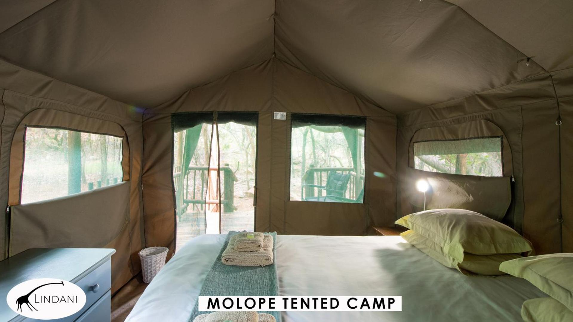 Lindani Lodges 18/50