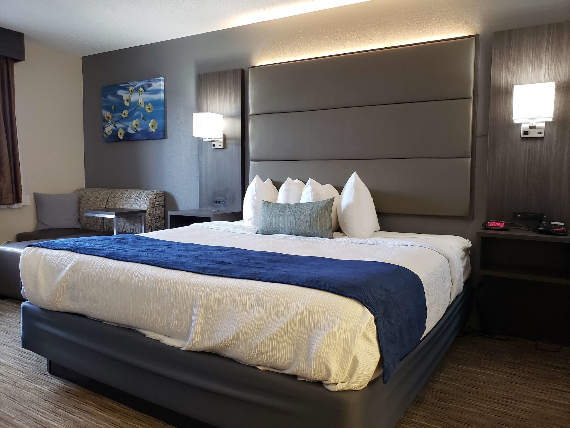 Standard, King Bed, Accessible