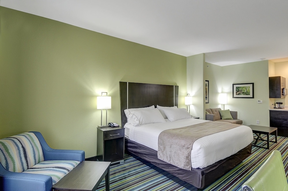 Holiday Inn Express And Suites Carrizo Springs 14/40