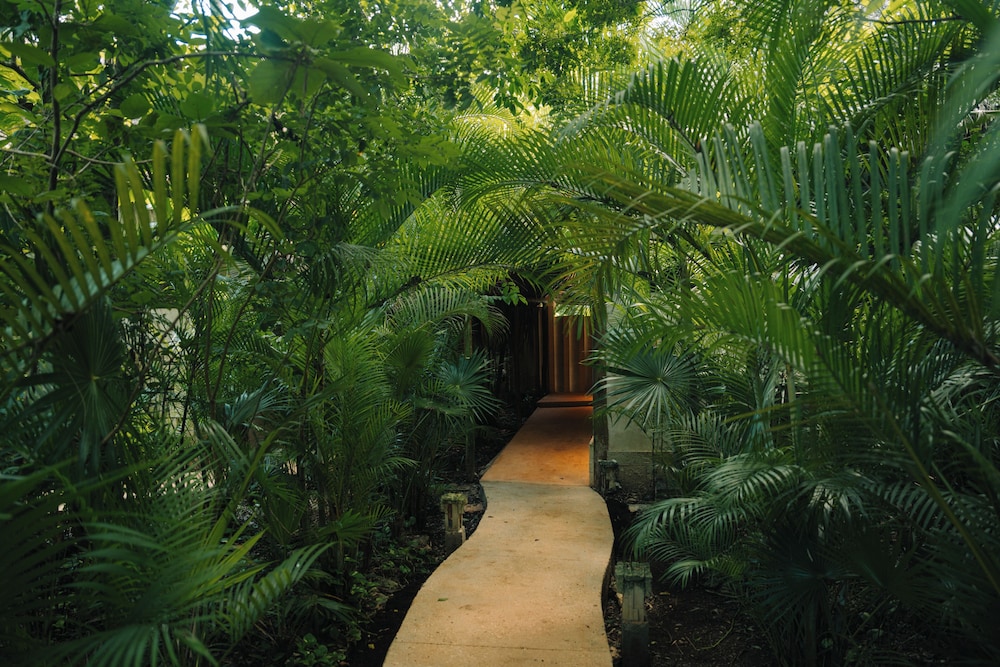 Aldea Coba an Escape Resort 60/63