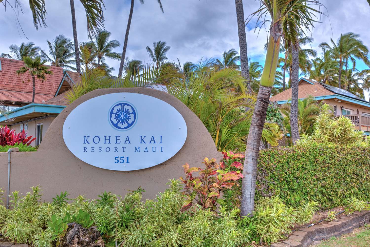 Kohea Kai Maui 11/11
