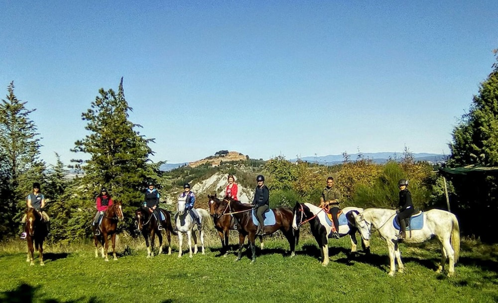 Fattoria Pieve a Salti 29/50