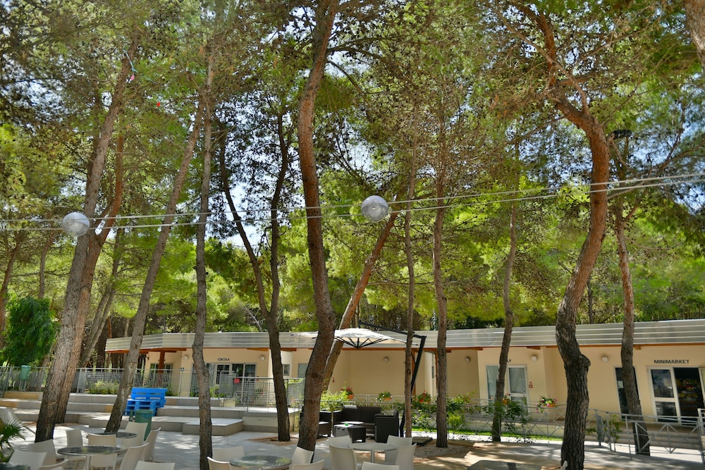 SIRA RESORT 8/71