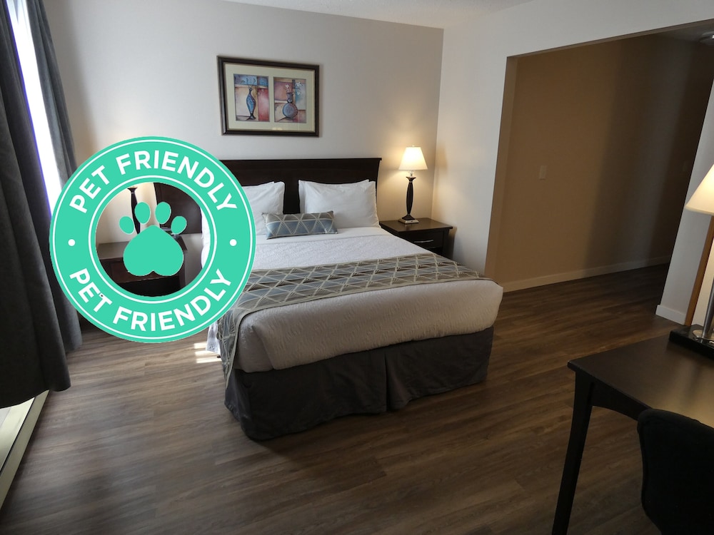 STANDARD, QUEEN BED, PET FRIENDLY