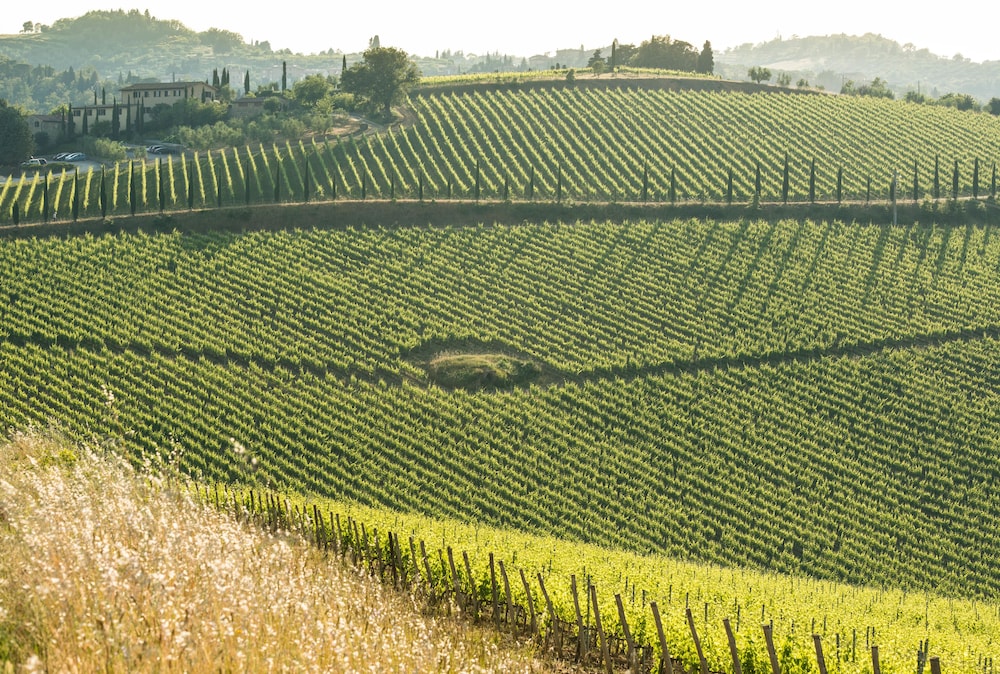Dievole Wine Resort 63/76