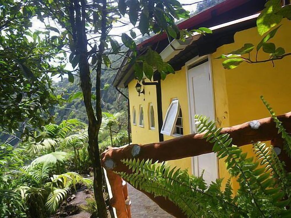 La Casa Amarilla 33/42