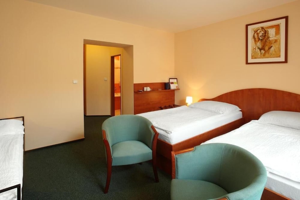 Hotel Palace 30/60